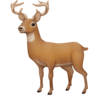 facebook version: Deer