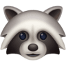 facebook version: Raccoon