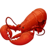 facebook version: Lobster