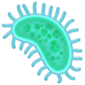 facebook version: Microbe
