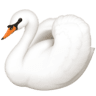 facebook version: Swan