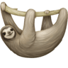 facebook version: Sloth