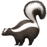 facebook version: Skunk