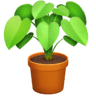 facebook version: Potted Plant