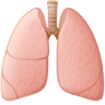 facebook version: Lungs