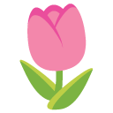 google version: Tulip