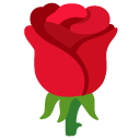 google version: Rose