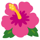 google version: Hibiscus