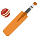 google version: Cricket Game