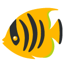 google version: Tropical Fish
