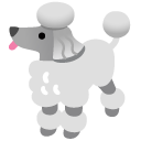 google version: Poodle