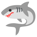google version: Shark