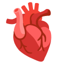 google version: Anatomical Heart