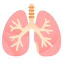 google version: Lungs