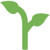 twitter version: Seedling