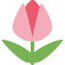 twitter version: Tulip