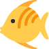 twitter version: Tropical Fish