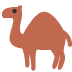 twitter version: Dromedary Camel