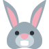 twitter version: Rabbit Face