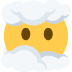 twitter version: Face in Clouds