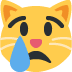 twitter version: Crying Cat Face