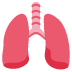 twitter version: Lungs