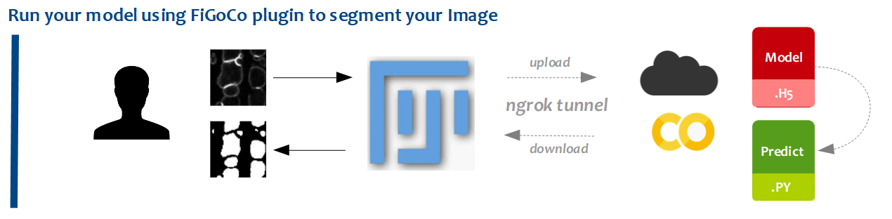 GitHub - fabda/FiGoCo: FIJI Google Colab Plugin · GitHub