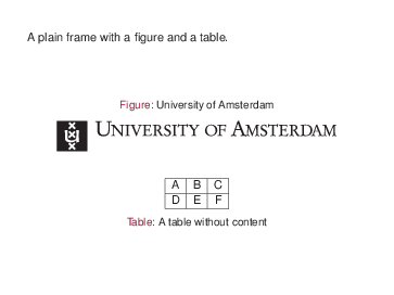 A plain frame in a LaTeX beamer template for University of Amsterdam