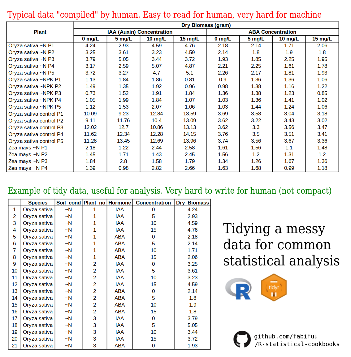 Tidy data poster