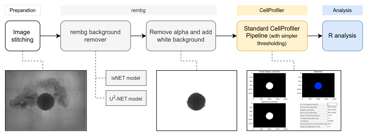 GitHub - fabifuu/rembg_spheroids