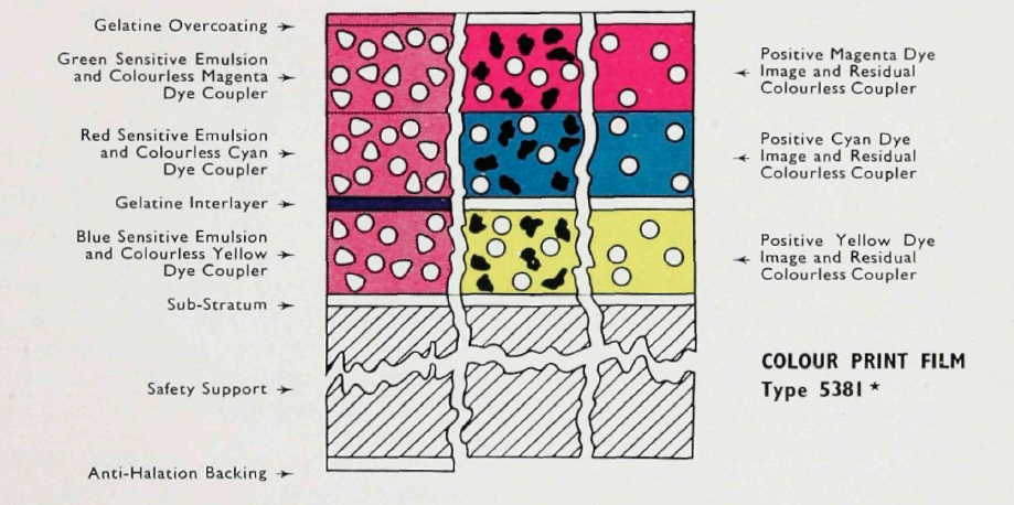 Structure of Eastman Color Print Film
