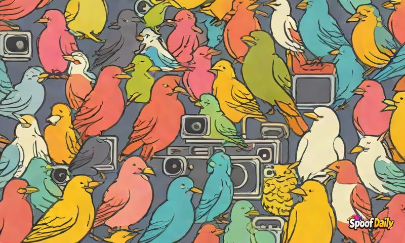 Birds Unionize Against Cat Videos Taking Their Internet Fame