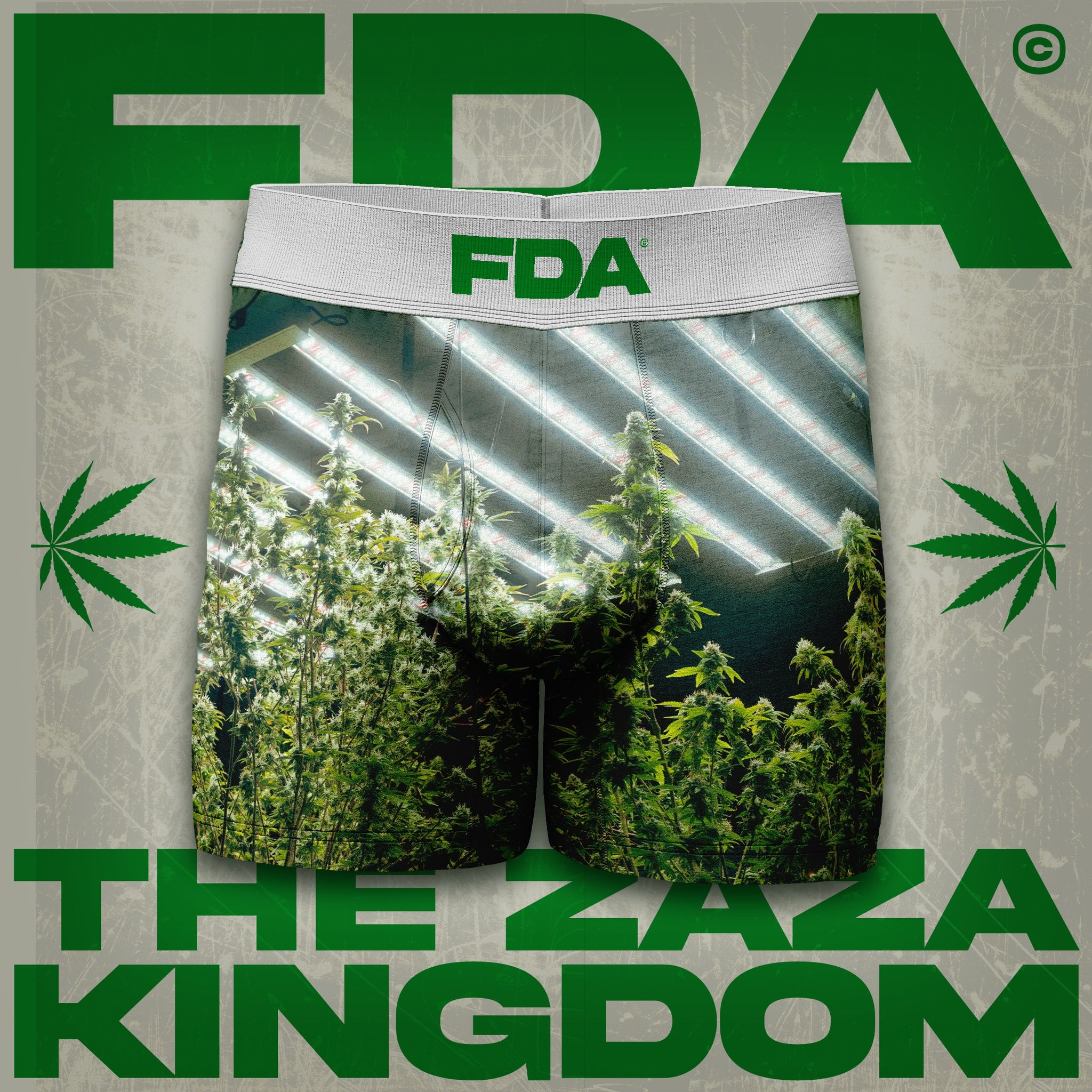 THE ZAZA KINGDOM