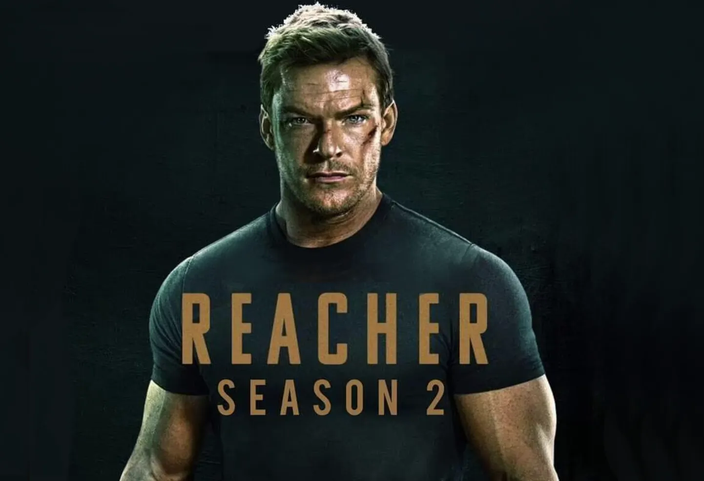 REACHER - Film Serial, SUBTITRAT IN ROMANA