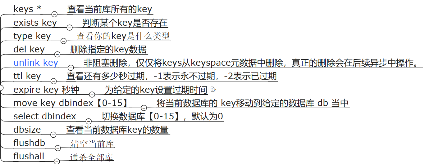 常见的key