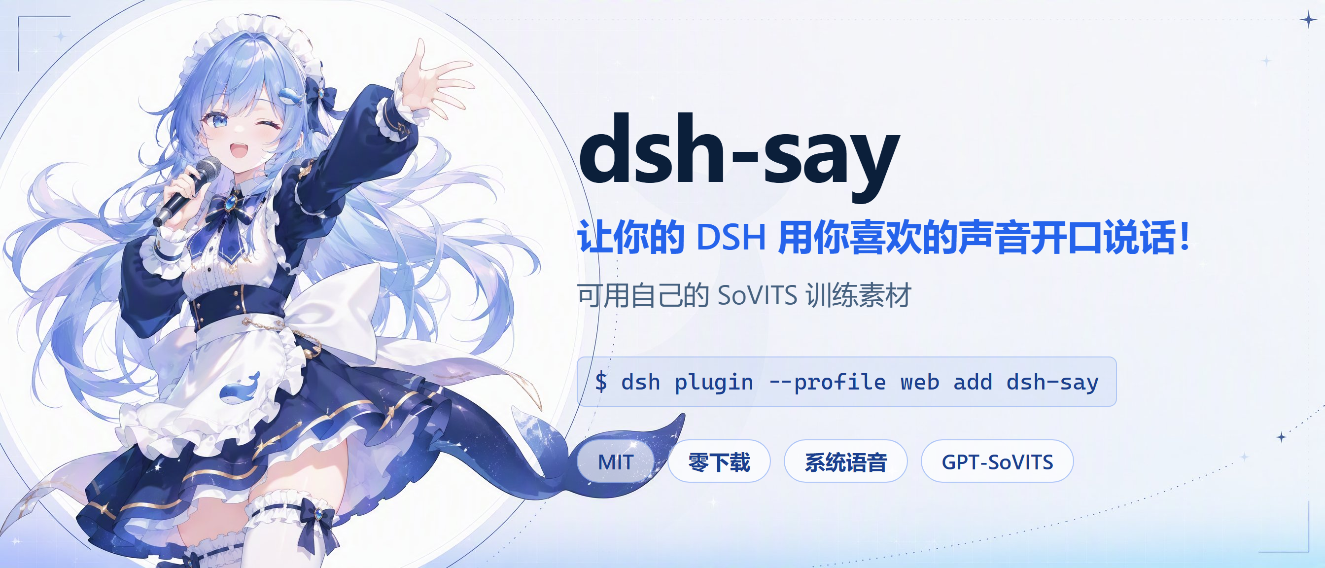 dsh-say