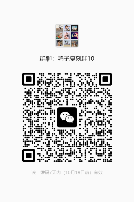 鸭子复刻群 10 微信二维码