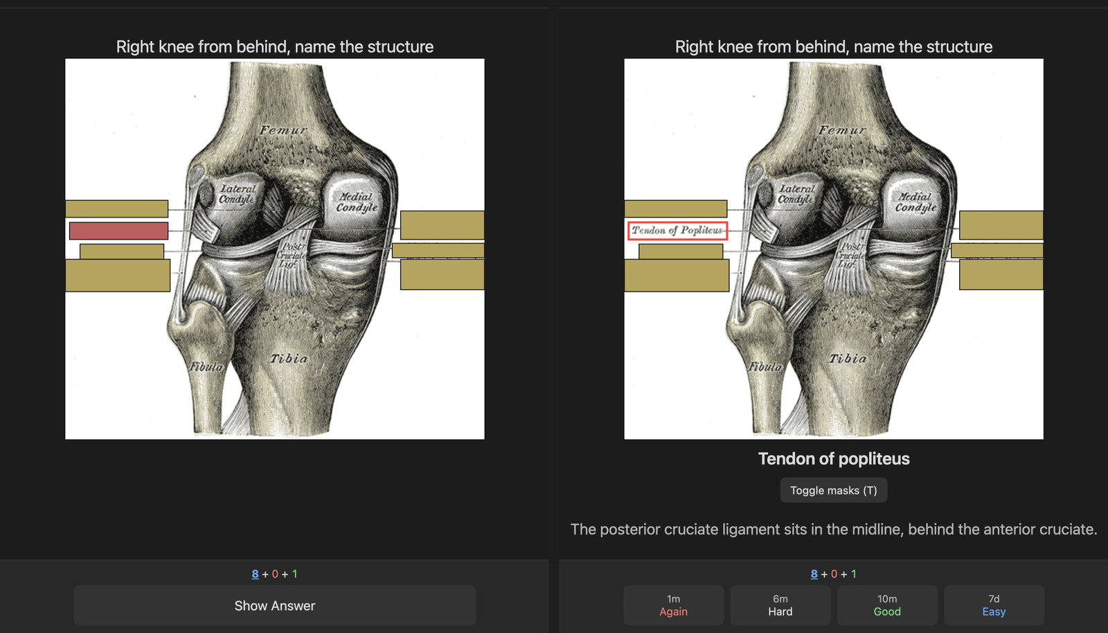 An image occlusion card, front and back
