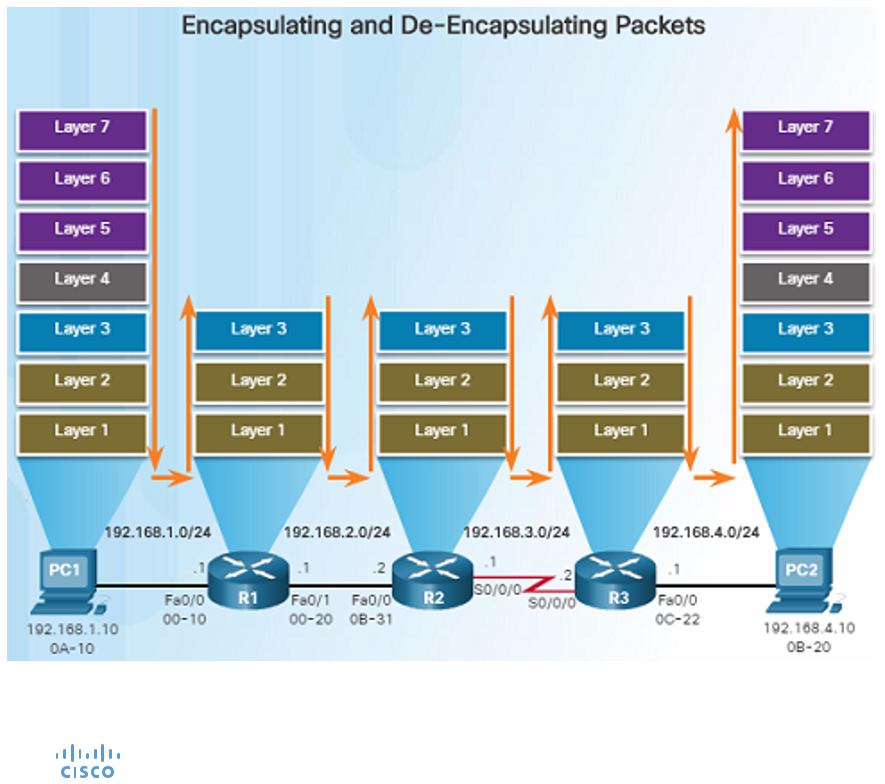 Cisco Network Academy