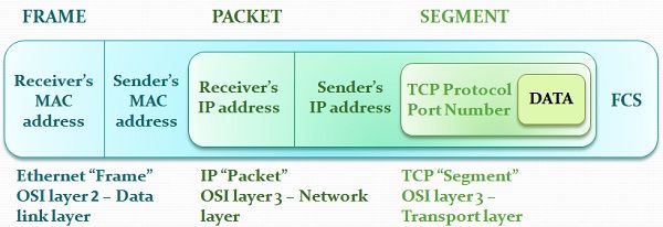 TechDifferences - Difference Between Frame and Packet