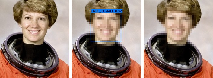 original · detection boxes (--draw-boxes) · mosaic