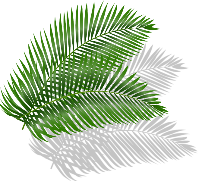 Leaf Left