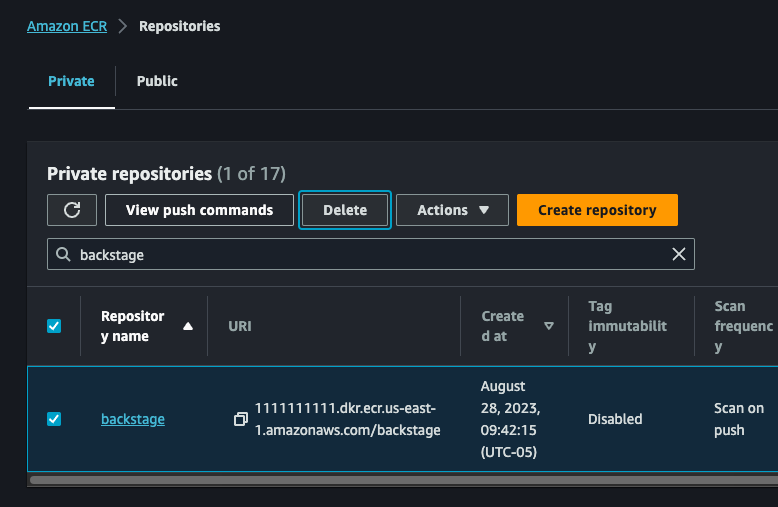 Delete ECR Repository