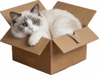 catpaq 截图