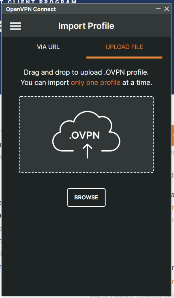 Open VPN Import