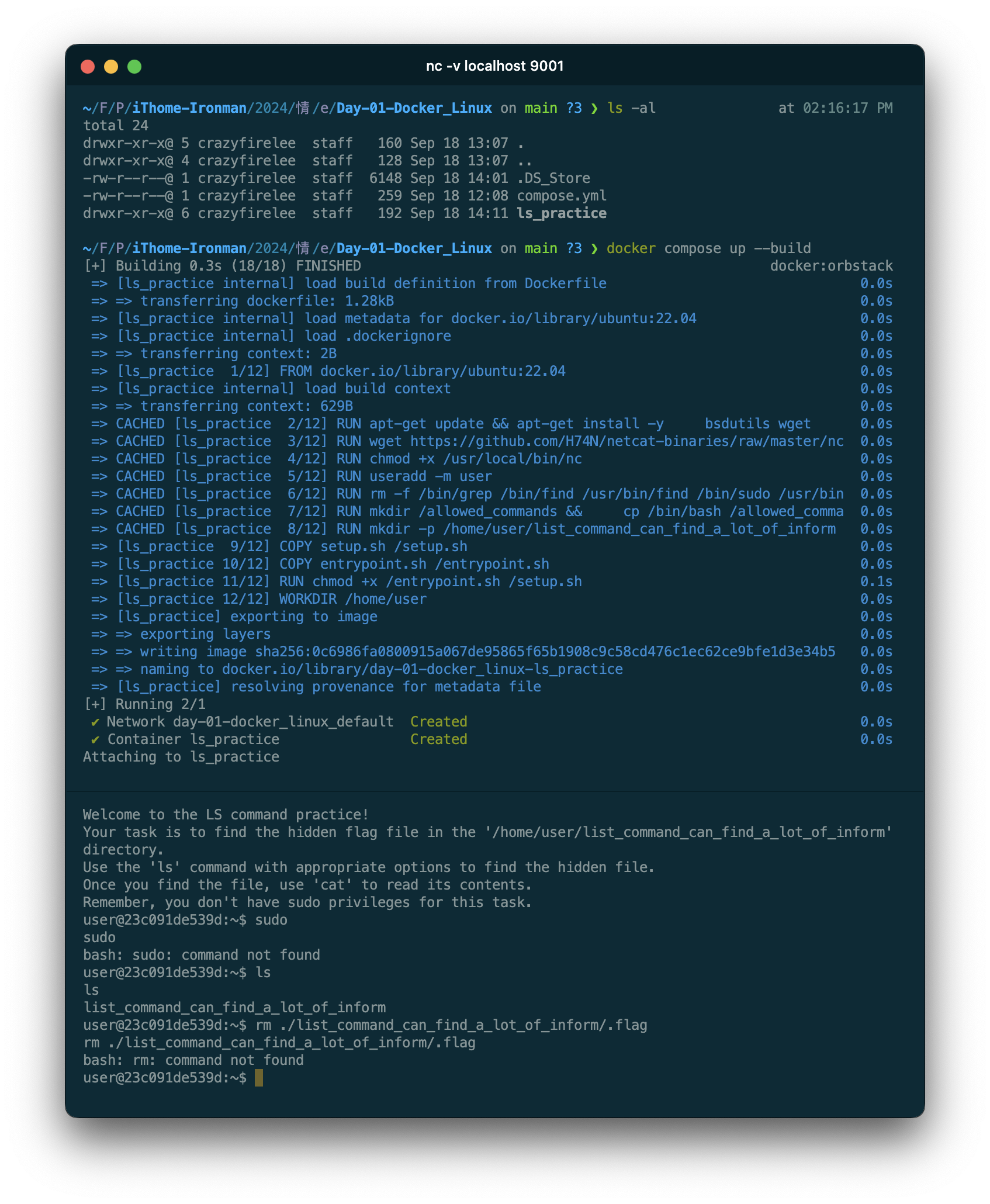 ls command practice