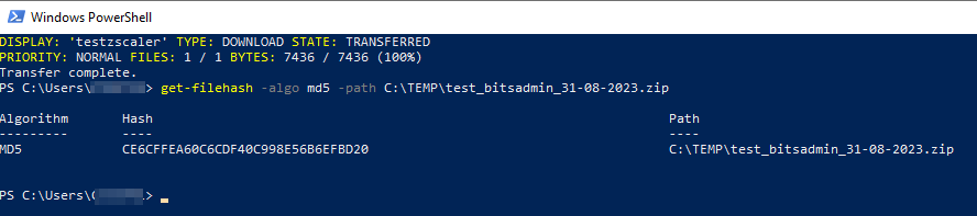 Bitsadmin test