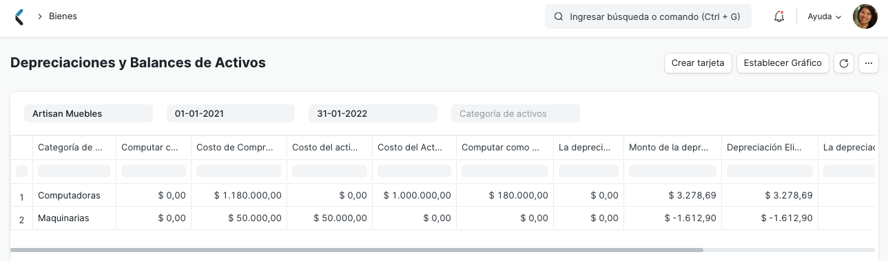 Asset Depreciations and Balances