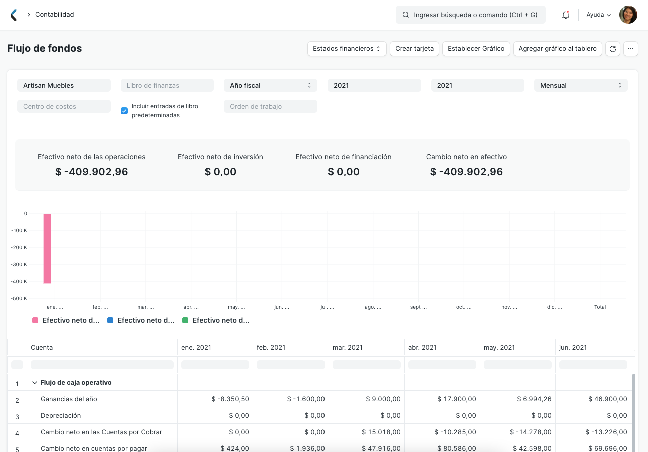 Cash Flow Report