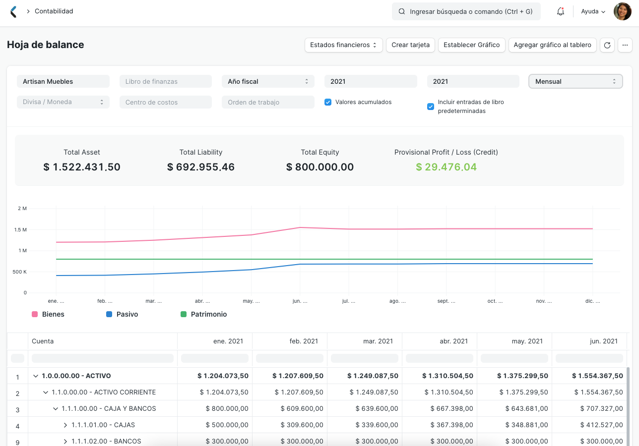 Balance Sheet Report